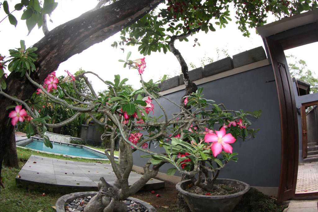 Villa D'Suite Seminyak Exteriör bild